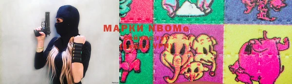 apvp Алексин