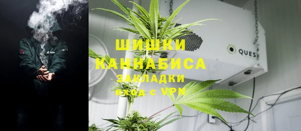 твердый Алзамай