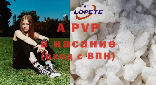 твердый Алзамай