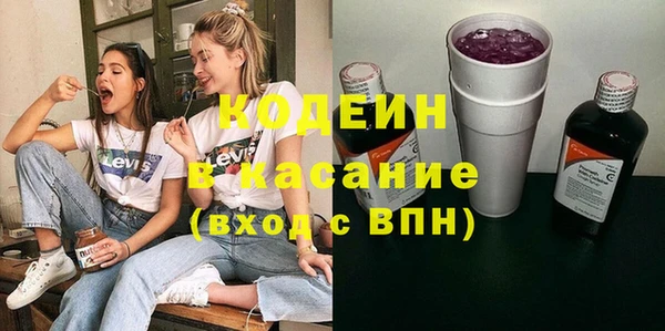 гашик Алексеевка