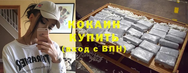 твердый Алзамай