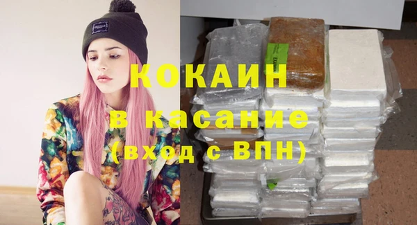 твердый Алзамай