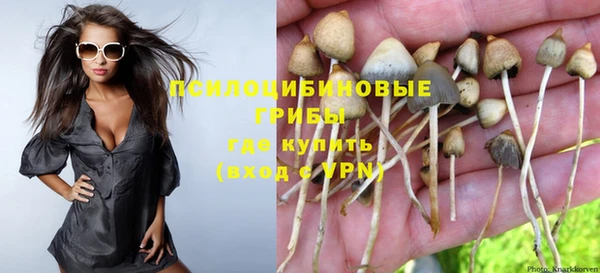 твердый Алзамай