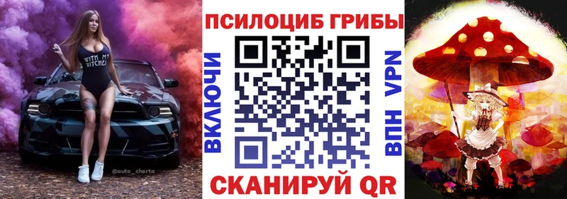 купить   Пролетарск  Псилоцибиновые грибы Psilocybine cubensis 