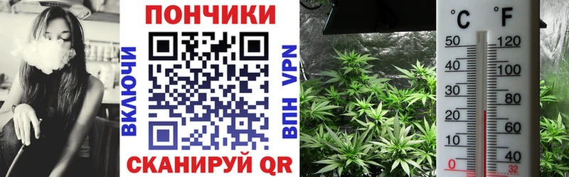 где купить наркоту  Пролетарск  Канабис план 